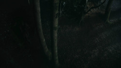 extant_GameOfThrones_3x07-TheBearAndTheMaidenFair_3325