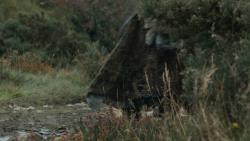 extant_GameOfThrones_3x07-TheBearAndTheMaidenFair_4243