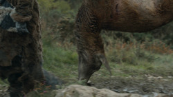 extant_GameOfThrones_3x07-TheBearAndTheMaidenFair_4248