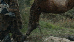 extant_GameOfThrones_3x07-TheBearAndTheMaidenFair_4249