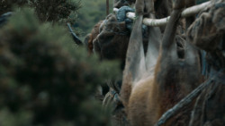 extant_GameOfThrones_3x07-TheBearAndTheMaidenFair_4265
