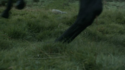 extant_GameOfThrones_3x07-TheBearAndTheMaidenFair_5484