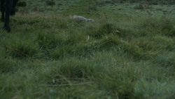 extant_GameOfThrones_3x07-TheBearAndTheMaidenFair_5485