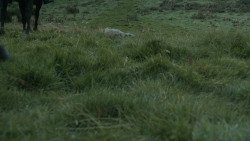 extant_GameOfThrones_3x07-TheBearAndTheMaidenFair_5486