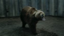 extant_GameOfThrones_3x07-TheBearAndTheMaidenFair_5574