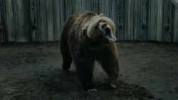 extant_GameOfThrones_3x07-TheBearAndTheMaidenFair_5575