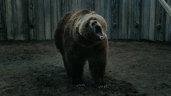 extant_GameOfThrones_3x07-TheBearAndTheMaidenFair_5576