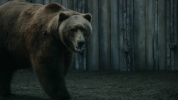 extant_GameOfThrones_3x07-TheBearAndTheMaidenFair_5590