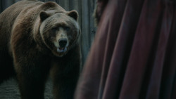 extant_GameOfThrones_3x07-TheBearAndTheMaidenFair_5592