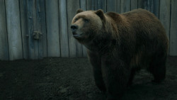 extant_GameOfThrones_3x07-TheBearAndTheMaidenFair_5652