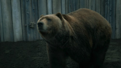 extant_GameOfThrones_3x07-TheBearAndTheMaidenFair_5653