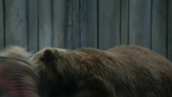 extant_GameOfThrones_3x07-TheBearAndTheMaidenFair_5672