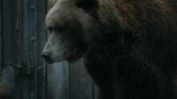 extant_GameOfThrones_3x07-TheBearAndTheMaidenFair_5673