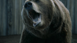 extant_GameOfThrones_3x07-TheBearAndTheMaidenFair_5676