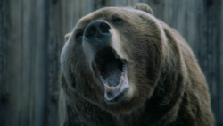 extant_GameOfThrones_3x07-TheBearAndTheMaidenFair_5677