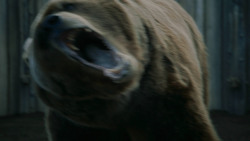 extant_GameOfThrones_3x07-TheBearAndTheMaidenFair_5682