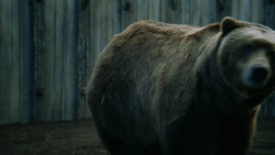 extant_GameOfThrones_3x07-TheBearAndTheMaidenFair_5686
