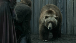 extant_GameOfThrones_3x07-TheBearAndTheMaidenFair_5696