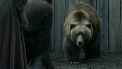 extant_GameOfThrones_3x07-TheBearAndTheMaidenFair_5697