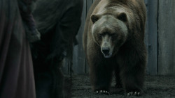 extant_GameOfThrones_3x07-TheBearAndTheMaidenFair_5701
