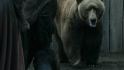 extant_GameOfThrones_3x07-TheBearAndTheMaidenFair_5703