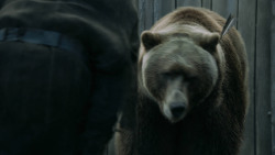 extant_GameOfThrones_3x07-TheBearAndTheMaidenFair_5707