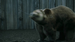 extant_GameOfThrones_3x07-TheBearAndTheMaidenFair_5724