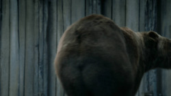 extant_GameOfThrones_3x07-TheBearAndTheMaidenFair_5736