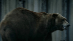 extant_GameOfThrones_3x07-TheBearAndTheMaidenFair_5737