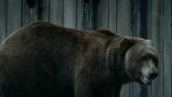 extant_GameOfThrones_3x07-TheBearAndTheMaidenFair_5738