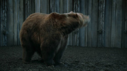 extant_GameOfThrones_3x07-TheBearAndTheMaidenFair_5748