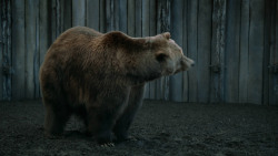 extant_GameOfThrones_3x07-TheBearAndTheMaidenFair_5749