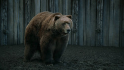 extant_GameOfThrones_3x07-TheBearAndTheMaidenFair_5750