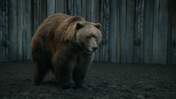 extant_GameOfThrones_3x07-TheBearAndTheMaidenFair_5751