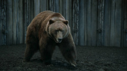 extant_GameOfThrones_3x07-TheBearAndTheMaidenFair_5752