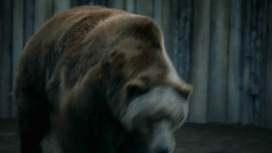 extant_GameOfThrones_3x07-TheBearAndTheMaidenFair_5770