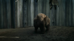 extant_GameOfThrones_3x07-TheBearAndTheMaidenFair_5774
