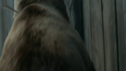 extant_GameOfThrones_3x07-TheBearAndTheMaidenFair_5775