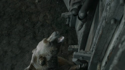 extant_GameOfThrones_3x07-TheBearAndTheMaidenFair_5778