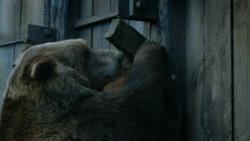 extant_GameOfThrones_3x07-TheBearAndTheMaidenFair_5781