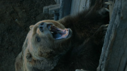 extant_GameOfThrones_3x07-TheBearAndTheMaidenFair_5795