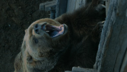 extant_GameOfThrones_3x07-TheBearAndTheMaidenFair_5796