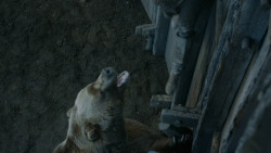 extant_GameOfThrones_3x07-TheBearAndTheMaidenFair_5801