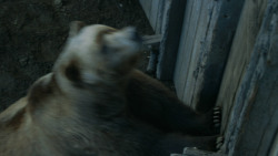 extant_GameOfThrones_3x07-TheBearAndTheMaidenFair_5806