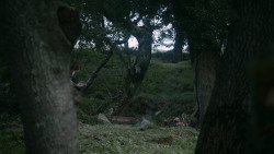 extant_GameOfThrones_3x08-SecondSons_0047