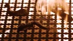 extant_GameOfThrones_3x08-SecondSons_3343
