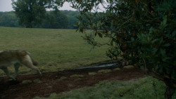 extant_GameOfThrones_3x09-TheRainsOfCastamere_0219