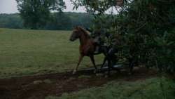 extant_GameOfThrones_3x09-TheRainsOfCastamere_0221
