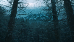 extant_GameOfThrones_3x09-TheRainsOfCastamere_1199
