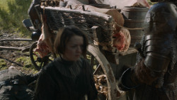 extant_GameOfThrones_3x09-TheRainsOfCastamere_1405